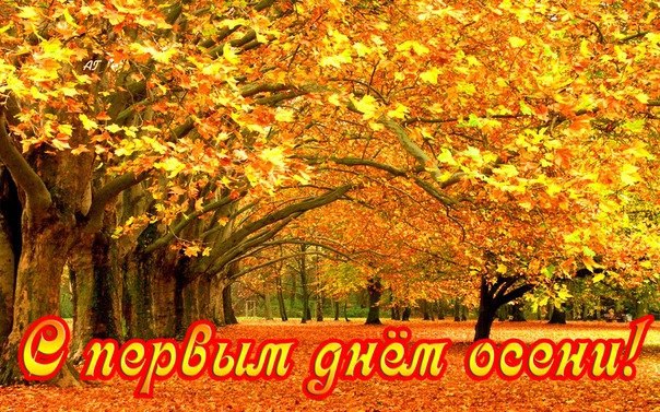 Открытки с поздравлениями с началом осени. Начало осени открытки.