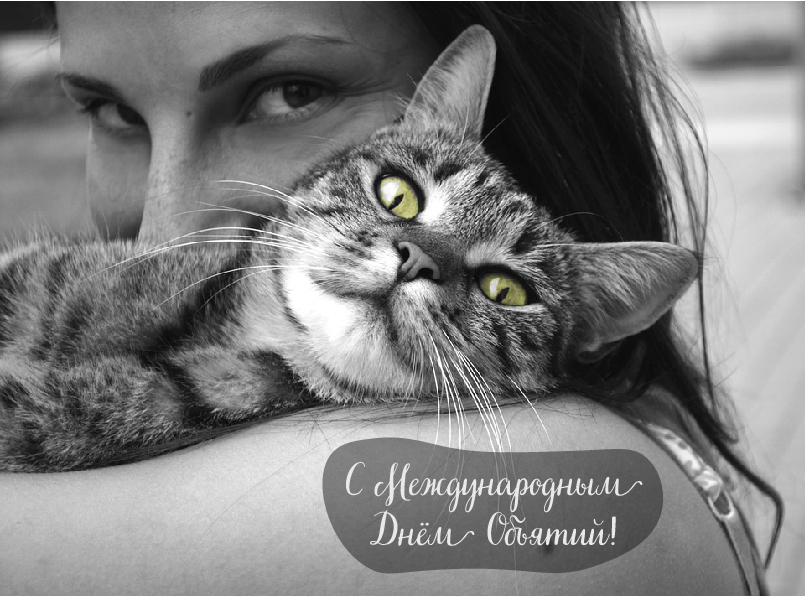 Открытки с поздравлениями на международный День объятий. С Днём объятий!