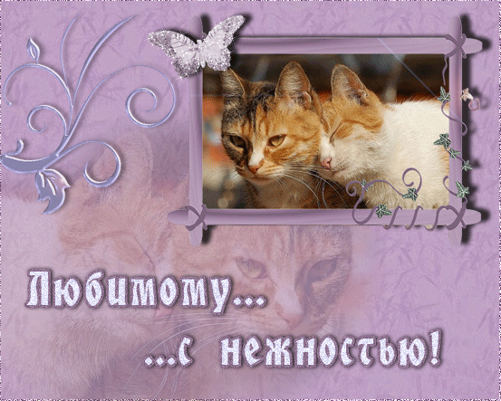 Открытки для любимых.  Милые открытки для вторых половинок. 