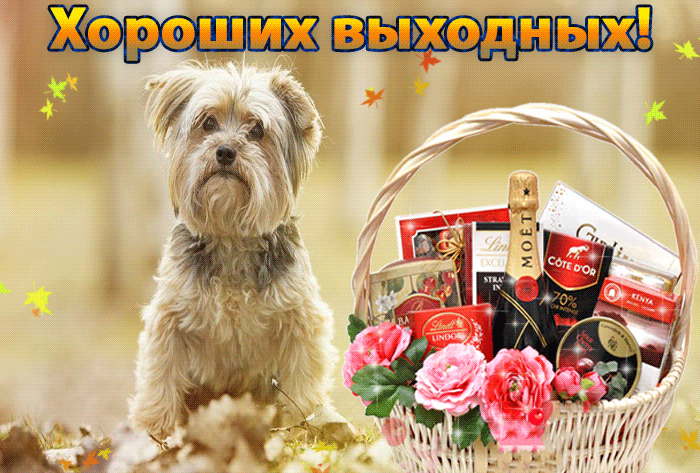 Открытки с пожеланием хороших выходных. Открытки на выходные.