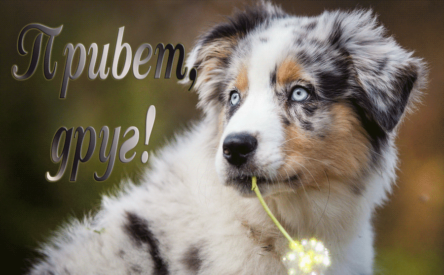 Открытки с приветствием друзей. Открытки для друга и подруги.