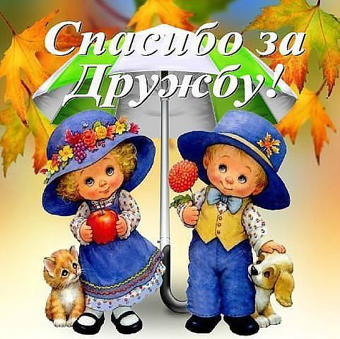 Спасибо за дружбу картинки