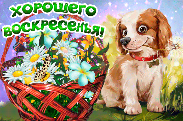 Открытки с пожеланием удачного воскресенья. Открытки на воскресенье.