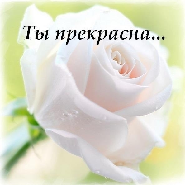 Открытки с цветами и надписью - ты прекрасна! Открытки для женщин.