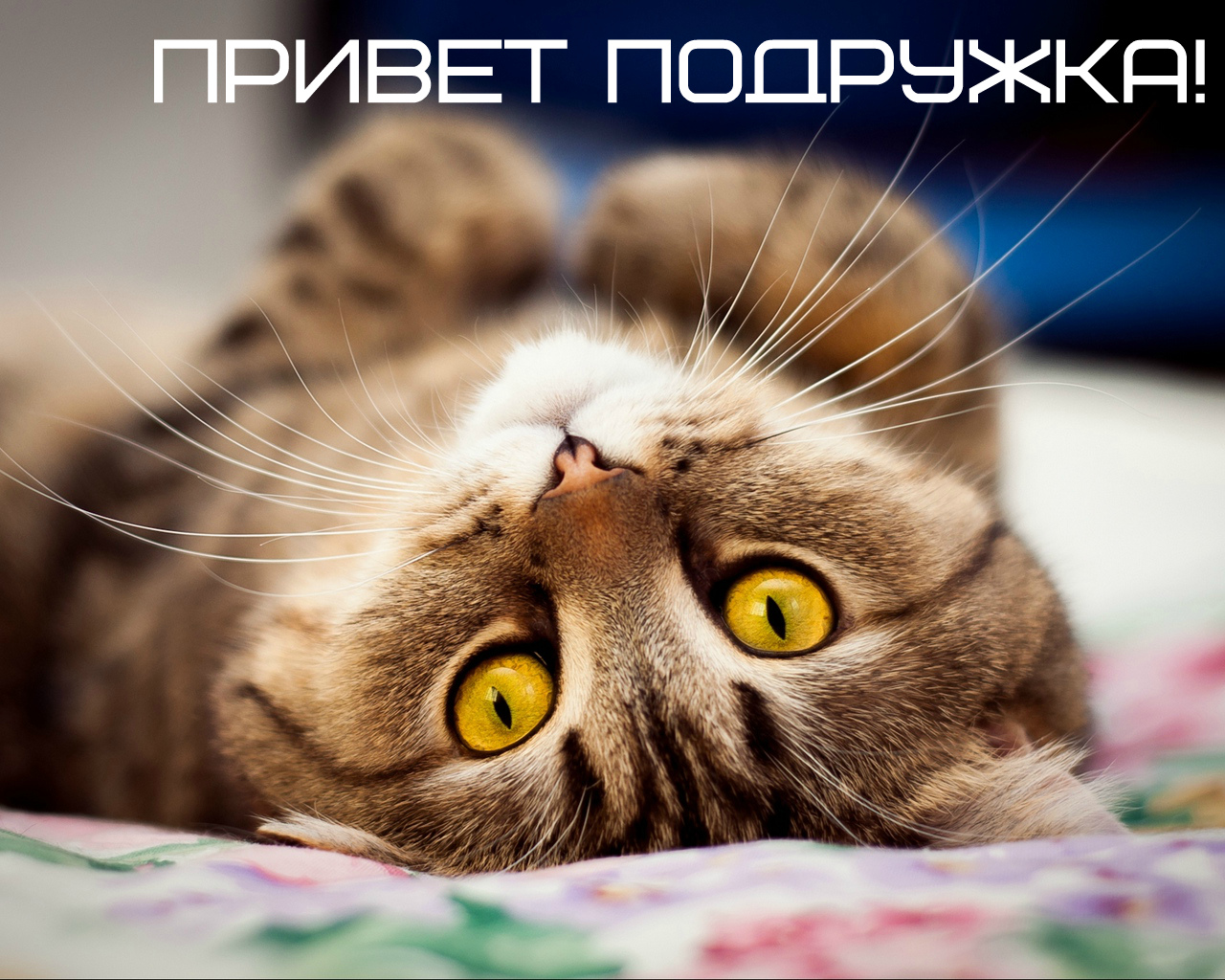 Открытки с приветствием друзей. Открытки для друга и подруги.