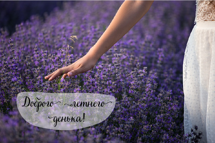 Открытки на лето. Пожелания хороших летних дней. Летние открытки.