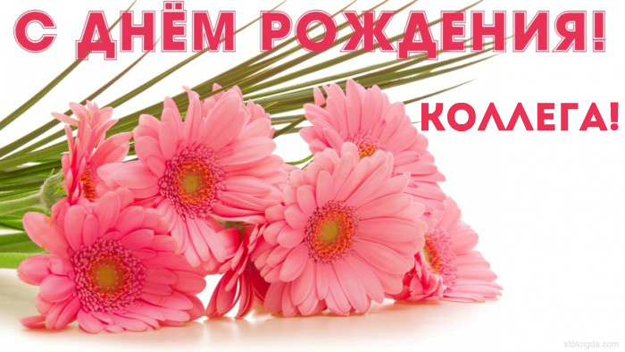 Открытки с поздравлением на День Рождения коллеге. Открытки коллеге.