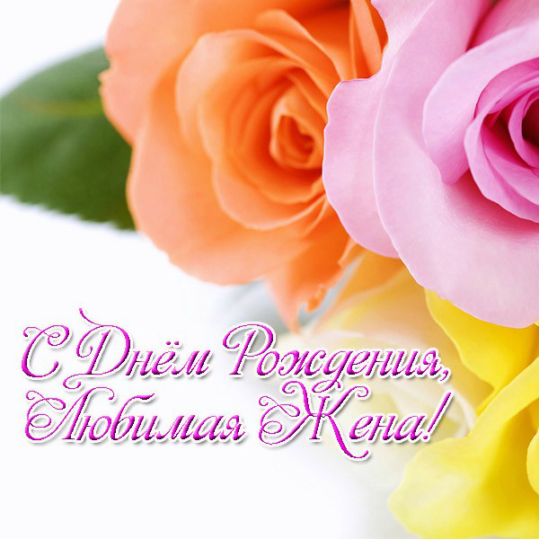 Открытки любимой жене на любой праздник. Открытки для жены с любовью.