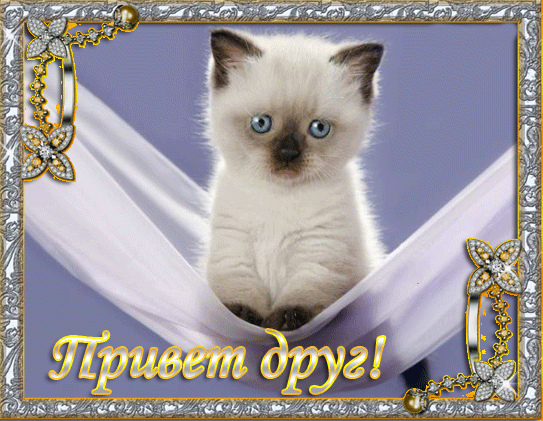 Открытки с приветствием друзей. Открытки для друга и подруги.