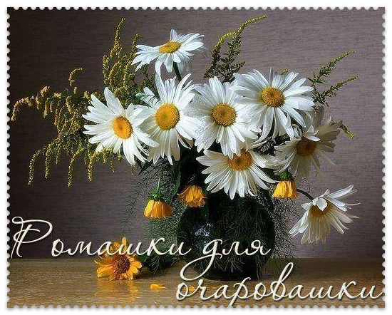 Открытки Открытки с положительными оценками. Открытки с оценками (молодец, красиво). Открытки с положительными оценками. Открытки с оценками (молодец, красиво). Красивые открытки смотреть онлайн бесплатно. Положительные оценки - красавица, молодец, мне нравится.