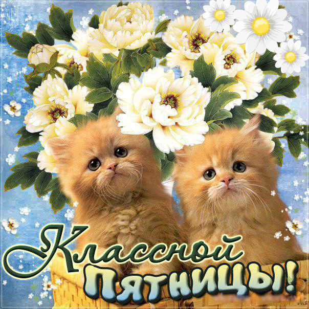 Открытки с пожеланием удачной пятницы. Открытки на пятницу. 