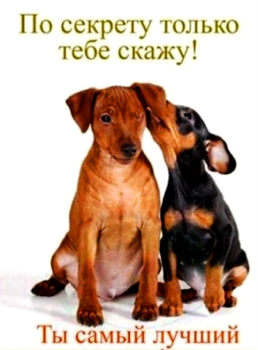 Открытки для любимых.  Милые открытки для вторых половинок. 