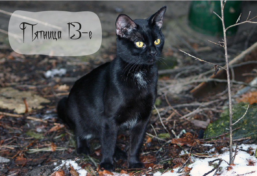 Открытки с пожеланиями на Пятницу 13-е. С Пятницей 13 открытки.