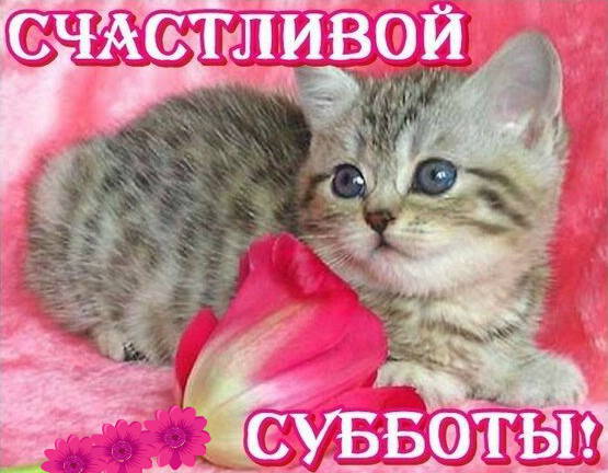 Открытки с пожеланием удачной субботы. Открытки на субботу. 