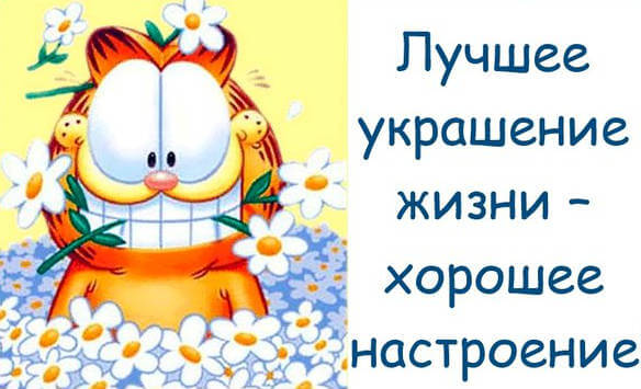 Открытки с прикольными пожеланиями. Прикольные пожелания. Юмор.