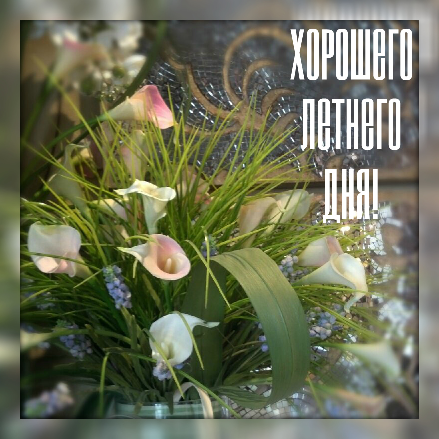 Открытки на лето. Пожелания хороших летних дней. Летние открытки.
