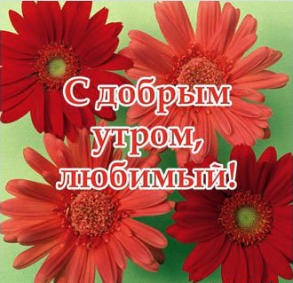 Открытки с пожеланиями для любимых. Открытки для второй половинки.