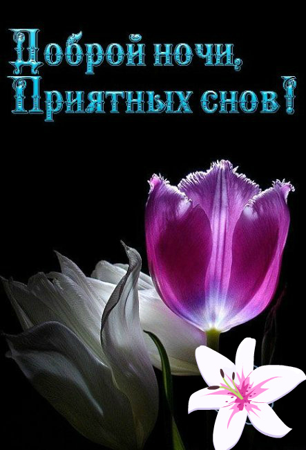 Открытки с надписью - доброй ночи! Открытки с пожеланием доброй ночи.