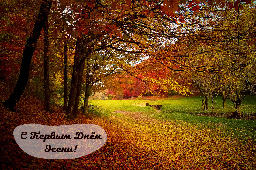 Открытки с поздравлениями с началом осени. Начало осени открытки.