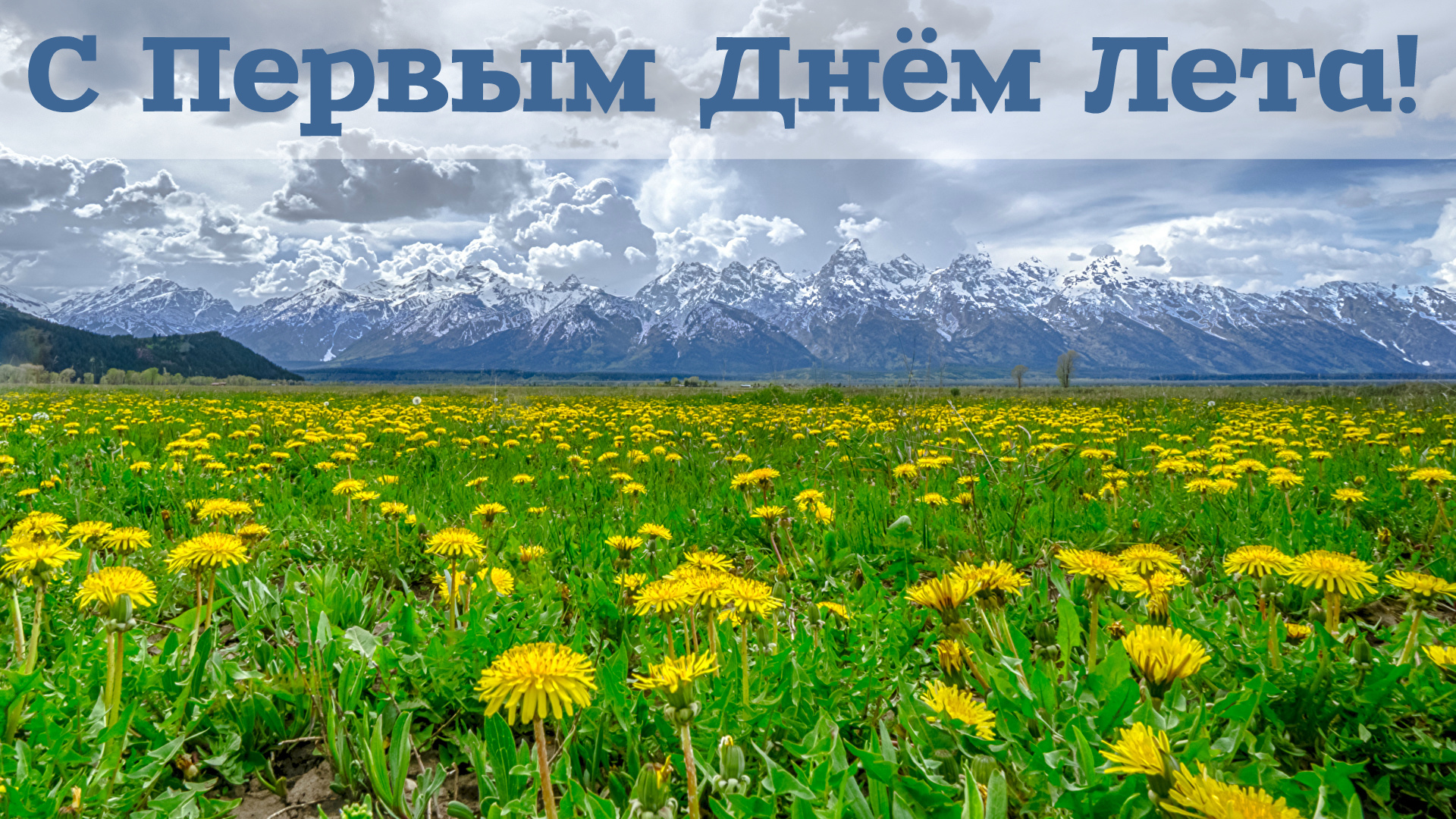 Открытки Открытки с поздравлениями с первым днём лета. Первый день лета. Открытки с поздравлениями с первым днём лета. Первый день лета. Красивые открытки смотреть онлайн бесплатно. Открытки к первому дню лета. Пожелания хорошего лета.