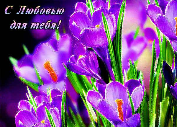 Открытки с цветами с надписью - С любовью! Цветы с любовью, открытки для женщин.