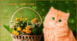 Открытки с цветами и надписью - вместо 1000 слов. Открытки для женщин.