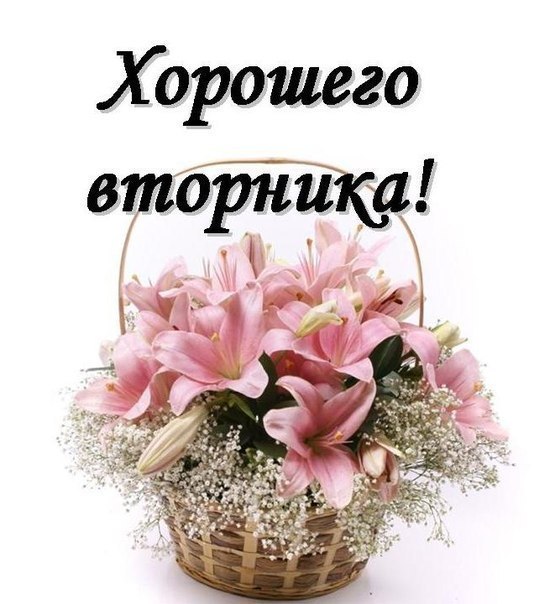 Открытки с пожеланием удачного вторника. Хорошего вторника. 