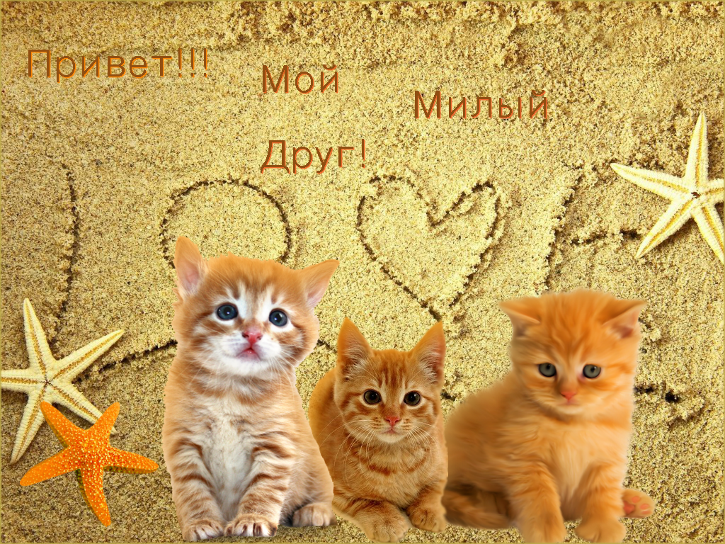 Открытки с приветствием друзей. Открытки для друга и подруги.