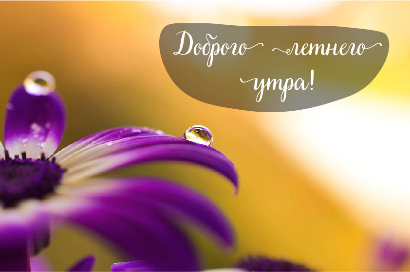 Открытки на лето. Пожелания хороших летних дней. Летние открытки.