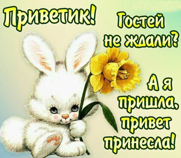 Открытки с приветствием. Открытки с надписью - привет! Приветствие.