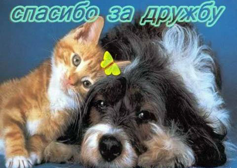 Открытки с любовью для друзей. Открытки другу и подруге, друзьям.