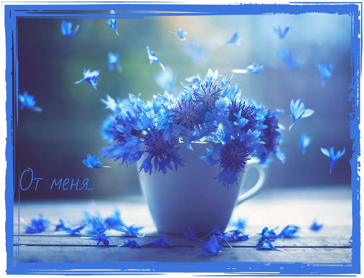 Открытки с цветами и надписью - от меня! Открытки для женщин.