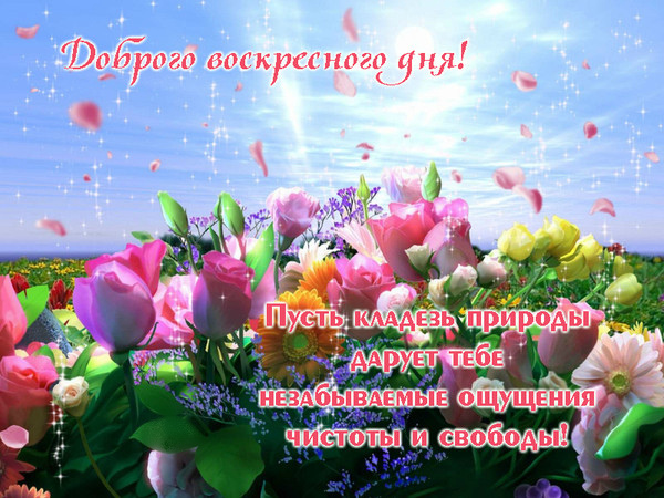 Прекрасного весеннего воскресенья картинки