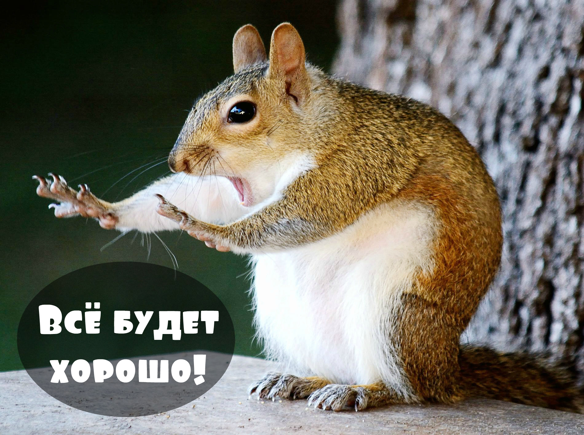 Открытки Открытки - всё будет хорошо! Приободрить словами - всё будет хорошо!  Открытки - всё будет хорошо! Приободрить словами - всё будет хорошо! Красивые открытки смотреть онлайн бесплатно. Поднять настроение родным и близким. Всё будет хорошо!