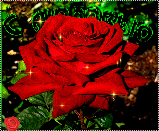 Открытки с цветами с надписью - С любовью! Цветы с любовью, открытки для женщин.