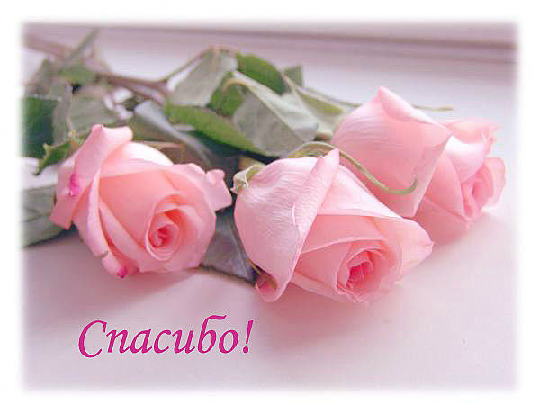 Открытки с надписью - спасибо!   Открытки с благодарностями.