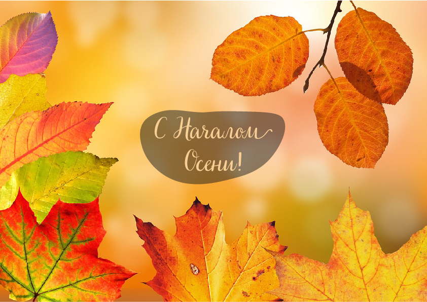 Открытки с поздравлениями с началом осени. Начало осени открытки.