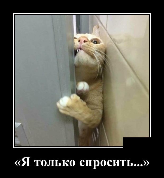 Открытки демотиваторы. Прикольные открытки в демотиваторах. 