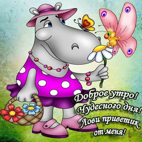 Открытки с надписью - доброе утро.  Открытки с добрым утром.