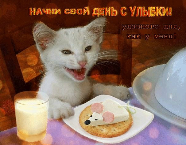 Открытки на каждый день - удачного дня! Открытки с пожеланием удачного дня.