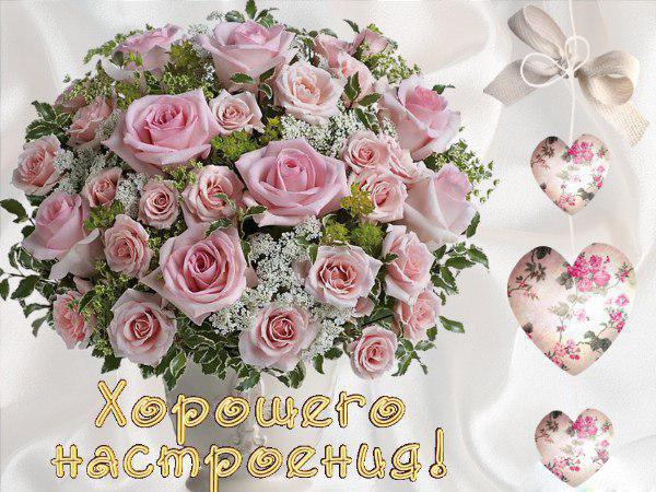 Открытки с цветами для хорошего настроения. Порадовать открыткой.