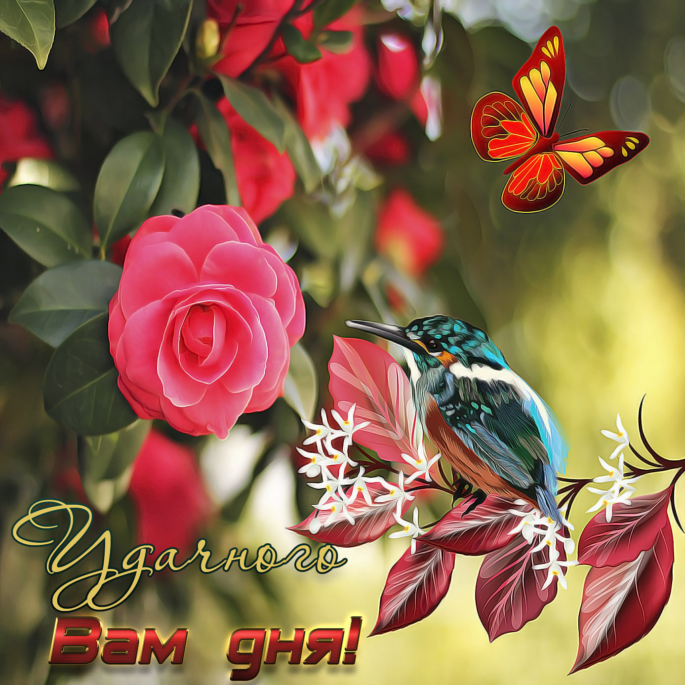 Открытки на каждый день - удачного дня! Открытки с пожеланием удачного дня.