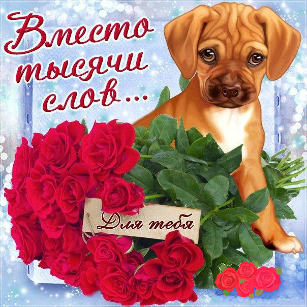 Открытки с цветами и надписью - вместо 1000 слов. Открытки для женщин.