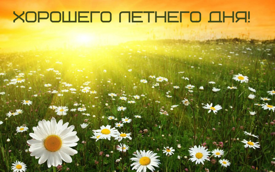 Открытки на лето. Пожелания хороших летних дней. Летние открытки.