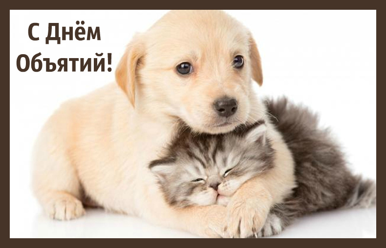 Открытки с поздравлениями на международный День объятий. С Днём объятий!