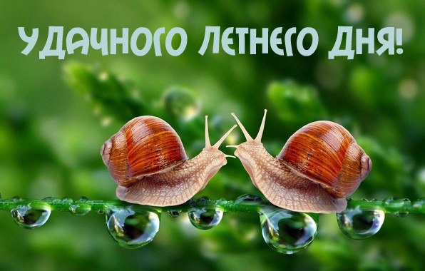 Открытки на лето. Пожелания хороших летних дней. Летние открытки.