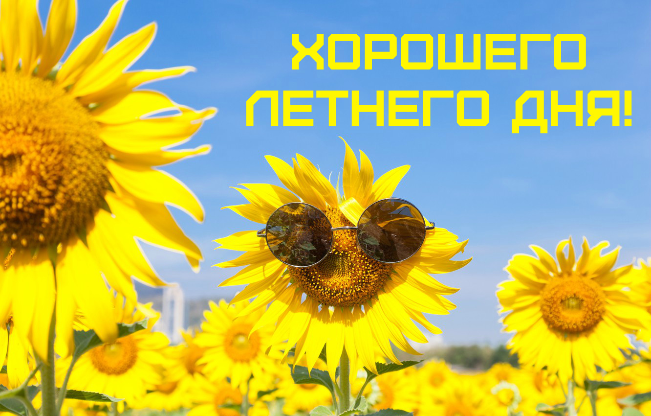 Открытки на лето. Пожелания хороших летних дней. Летние открытки.