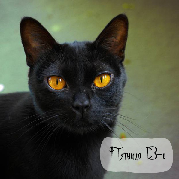 Открытки с пожеланиями на Пятницу 13-е. С Пятницей 13 открытки.