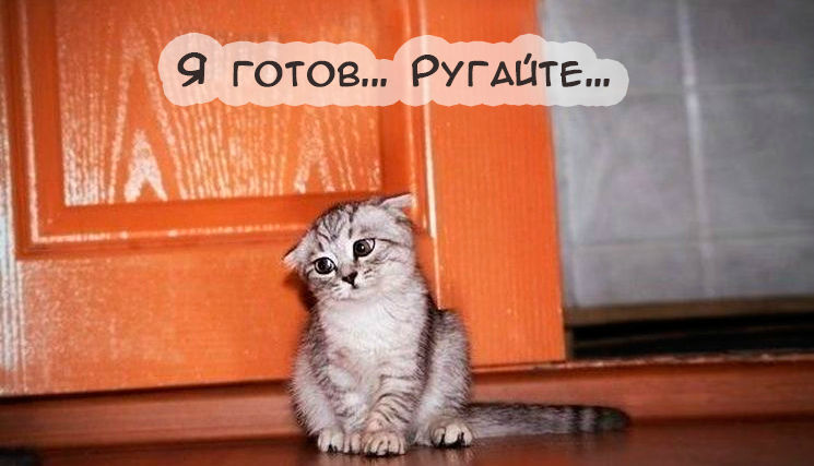 Открытки с животными. Прикольные открытки с животными. Юмор и животные.