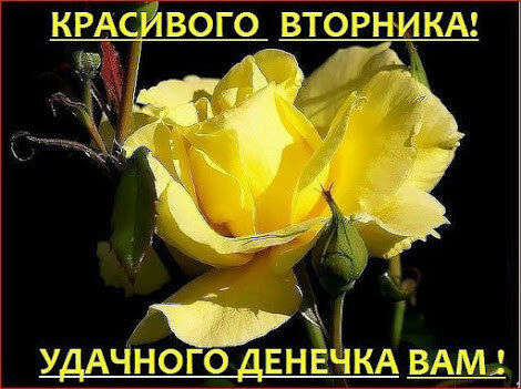 Открытки с пожеланием удачного вторника. Хорошего вторника. 